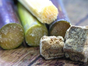 サトウキビイメージ